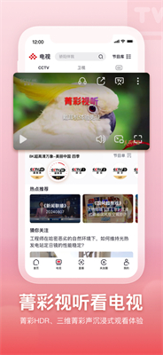 央视频2025最新版下载-央视频app正版免费下载