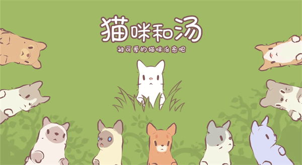 猫咪和汤官方版正版