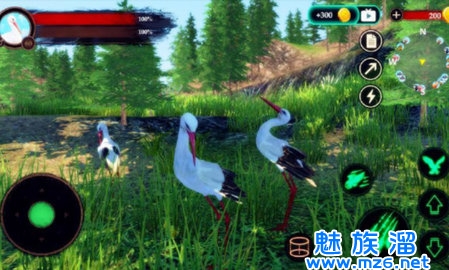 丹顶鹤模拟器可飞版免费下载-丹顶鹤模拟器可飞版一键下载安装v1.0.4