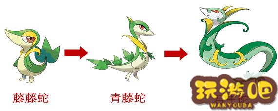 宝可梦藤藤蛇几级进化-藤藤蛇进化方法